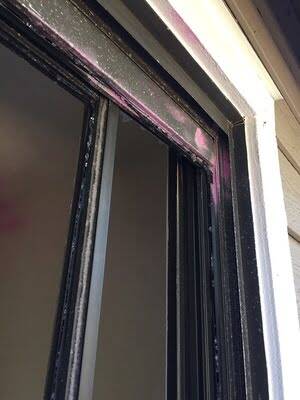 bioclean-window