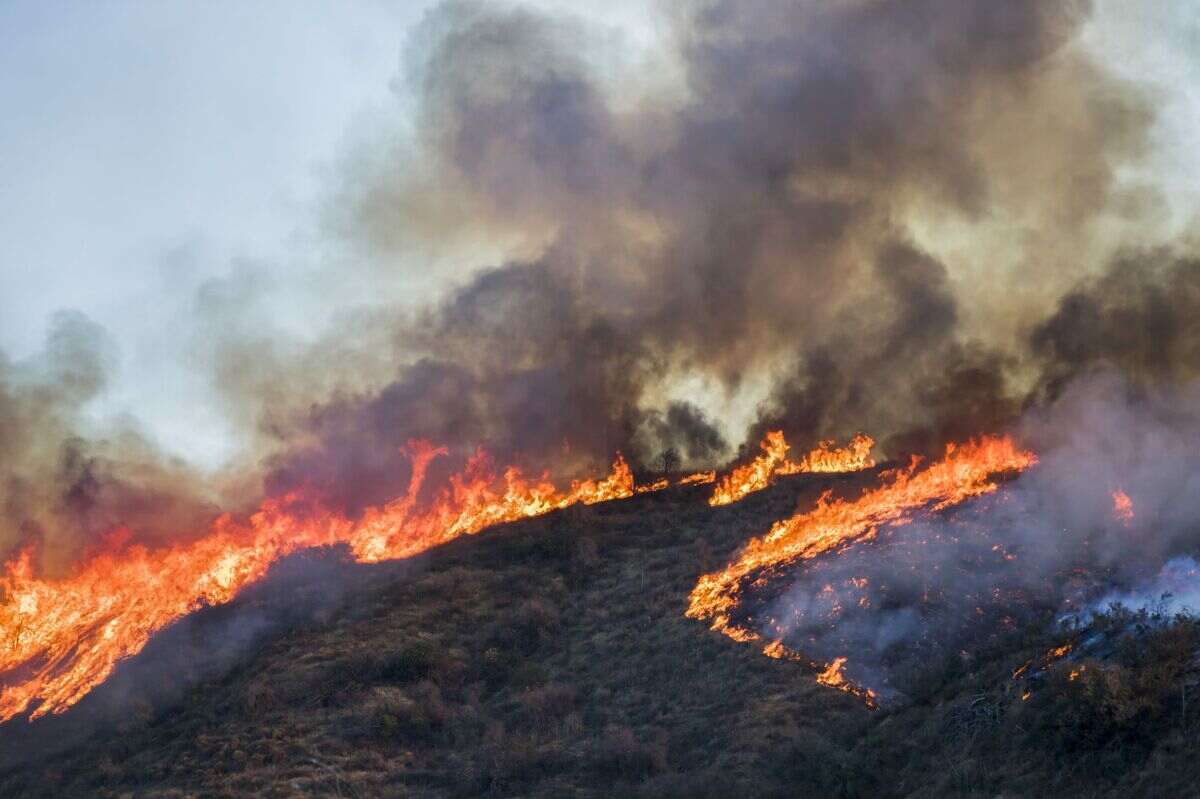 Fire Season Safety  Bioclean