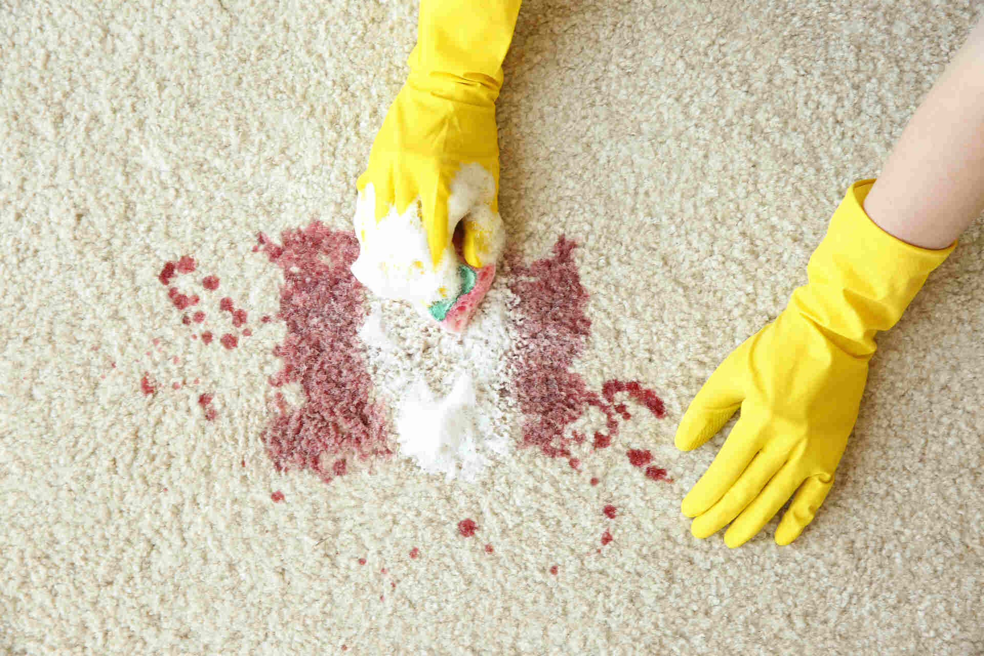 Blood stain bioclean