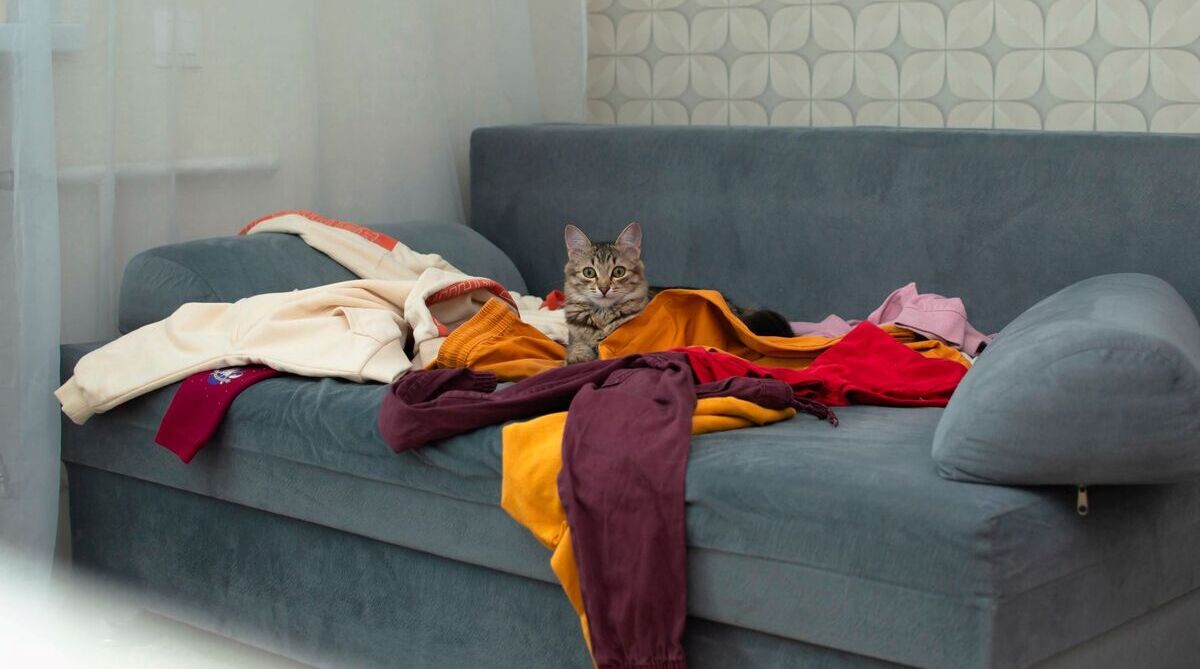 Bioclean Animal Feces Removal