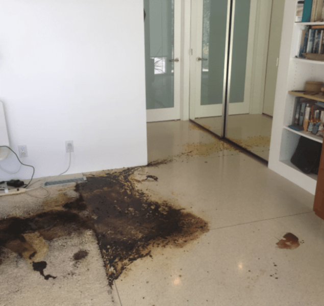 Decomp Cleanup
