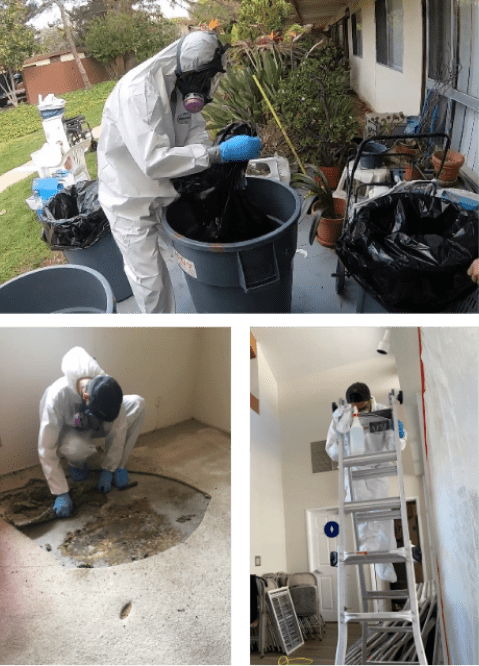 Why Bioclean